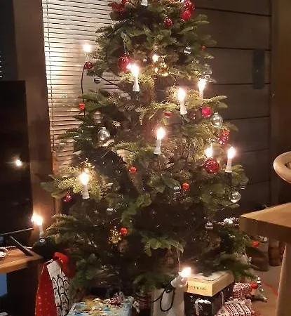 Levi Diamonds Appartement *